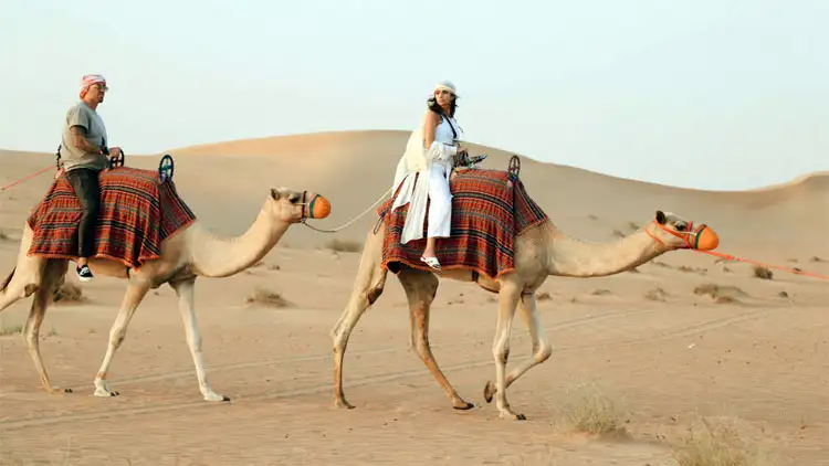 Beginner’s Guide to Preparing for Camel Trekking Beginner’s Guide to Preparing for Camel Trekking