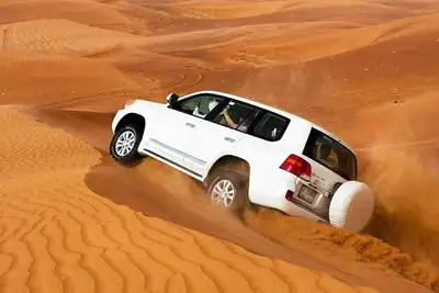 Dune Bashing Everything You Need to Know