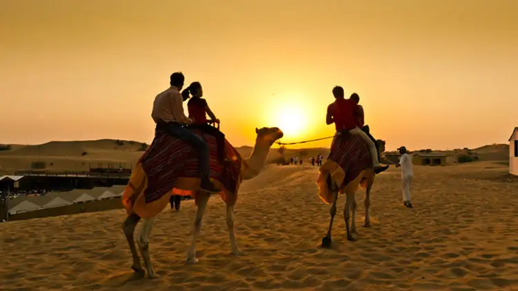 The Magic of Sunset Views During a Desert Safari The Magic of Sunset Views During a Desert Safari