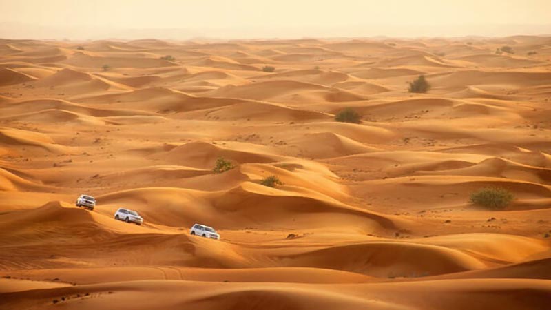 Liwa Desert Safari From Abu Dhabi