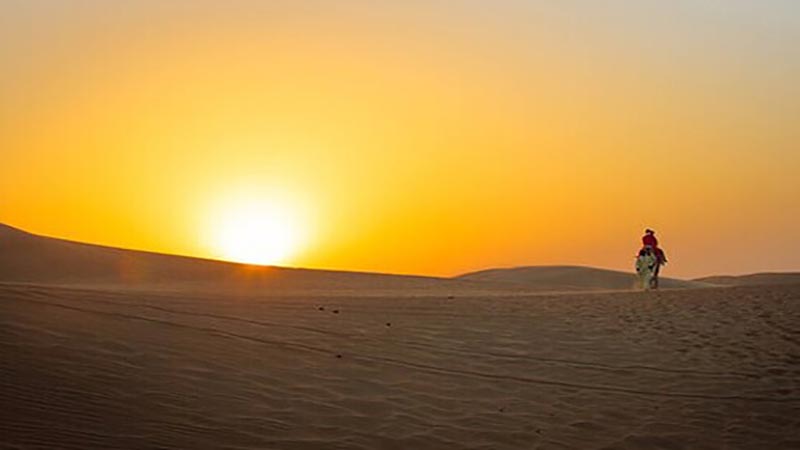 Sunrise Desert Safari Abu Dhabi